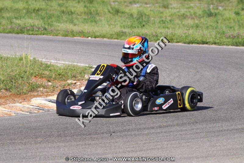 20110501_ales_agnus (4378).JPG